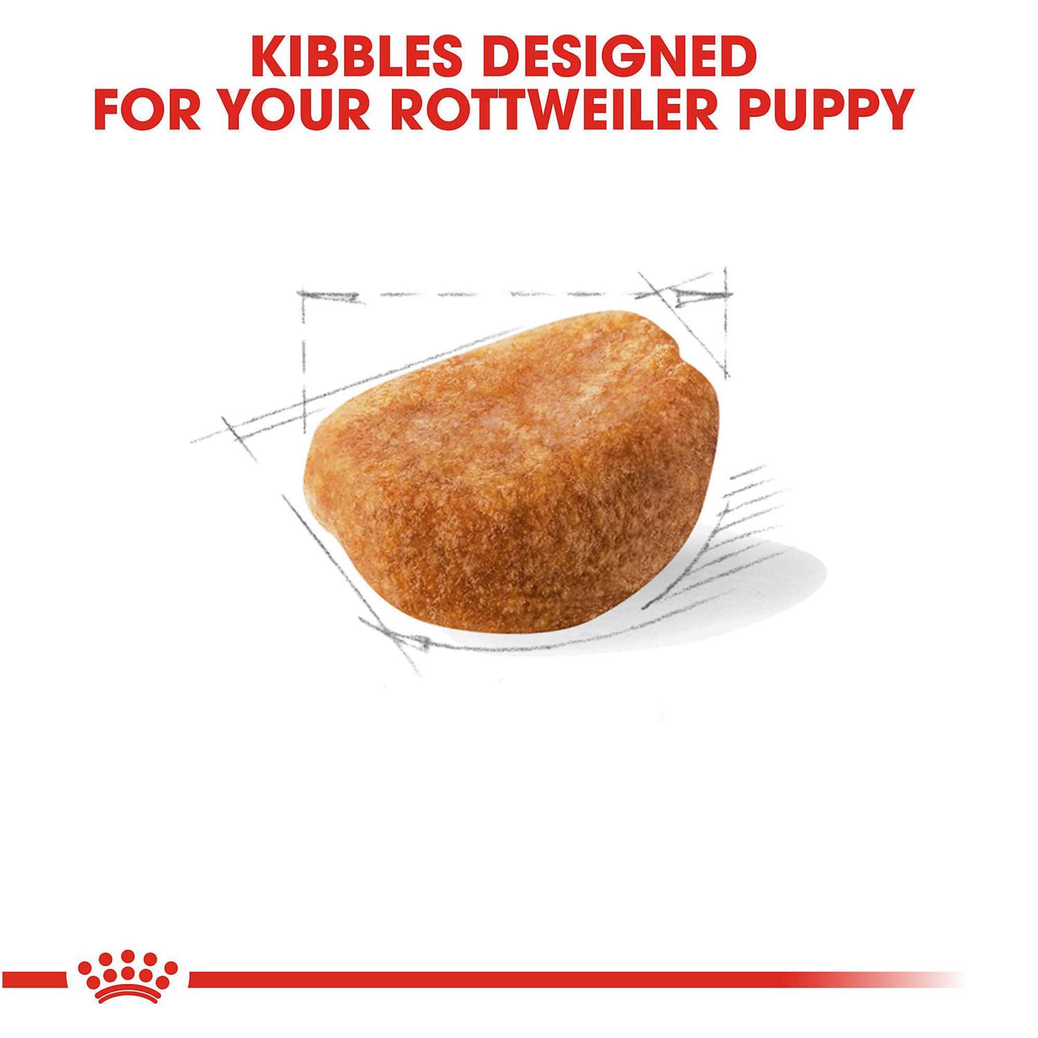 Royal Canin Breed Health Nutrition Rottweiler Puppy Dry Dog Food - Image 3