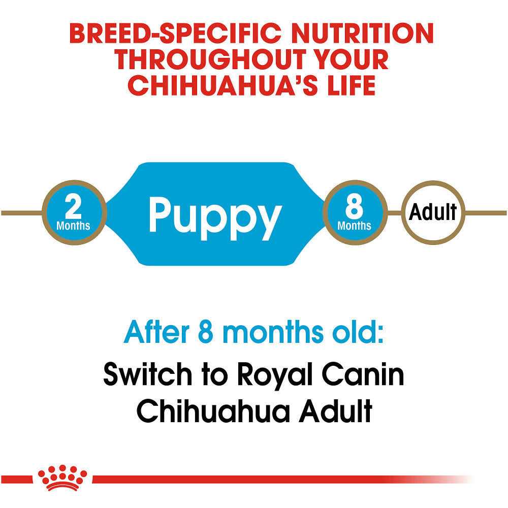 Royal Canin Breed Health Nutrition Chihuahua Puppy Dry Dog Food - Image 4