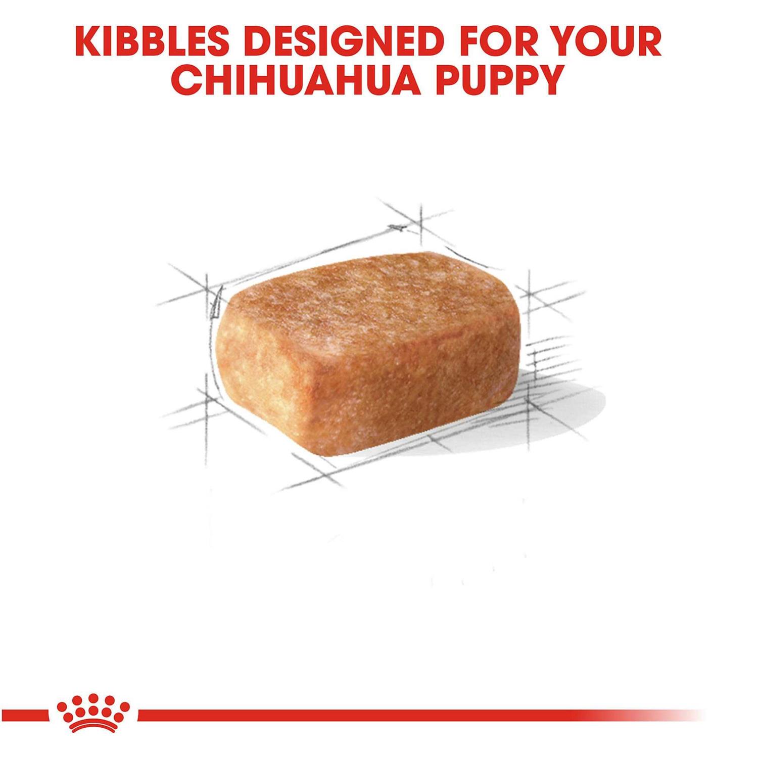 Royal Canin Breed Health Nutrition Chihuahua Puppy Dry Dog Food - Image 5