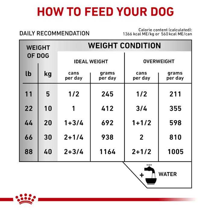 Royal Canin Veterinary Diet Hepatic Canned Dog Food - Image 3