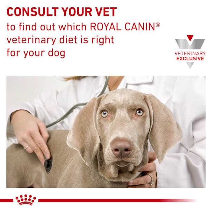 Royal Canin Veterinary Diet Hepatic Canned Dog Food - Image 4
