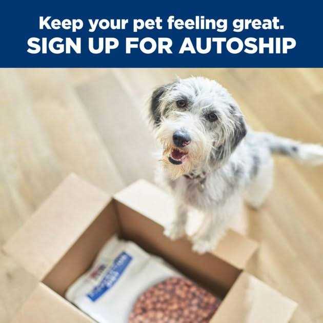 Hill's Prescription Diet z/d Skin/Food Sensitivities Wet Dog Food - Image 5