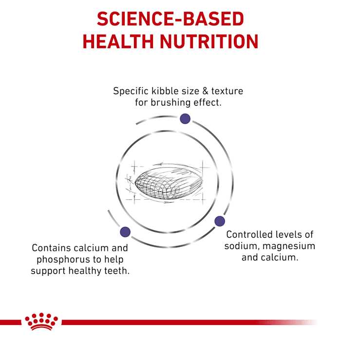 Royal Canin Veterinary Diet Canine Dental Adult Small Dog Dry Food - Image 4