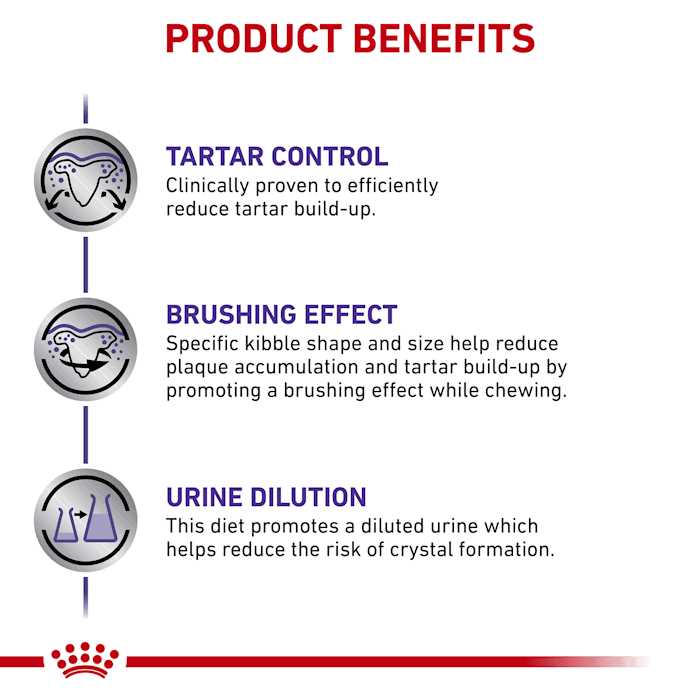 Royal Canin Veterinary Diet Canine Dental Adult Small Dog Dry Food - Image 5