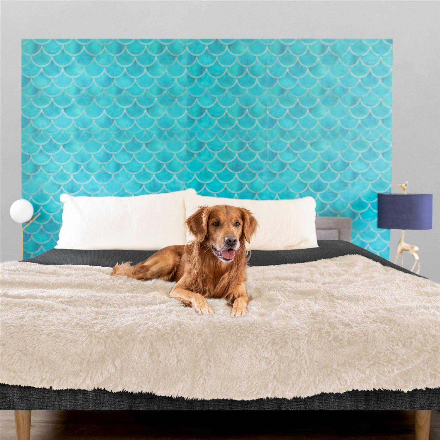 PawProof Throw Blanket - Image 2