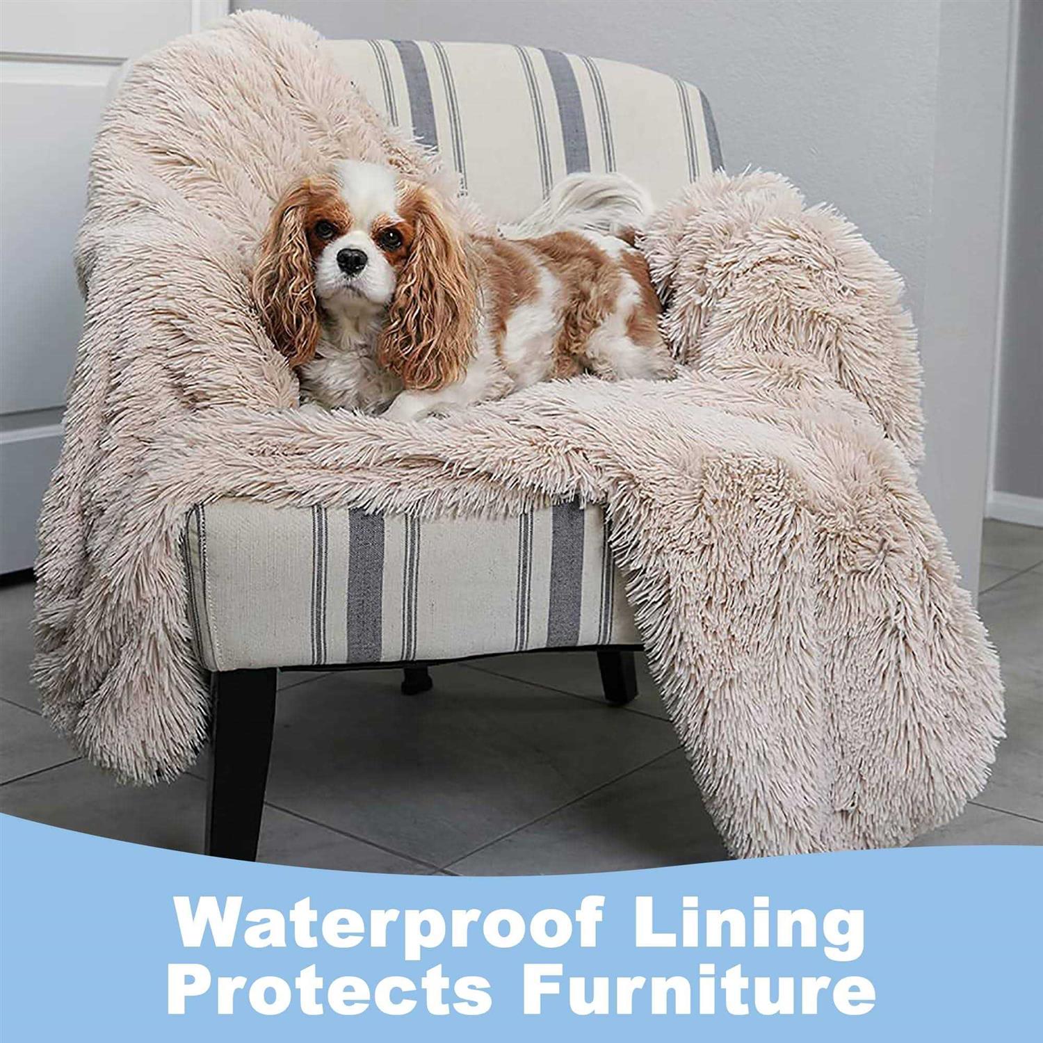 PawProof Throw Blanket - Image 5