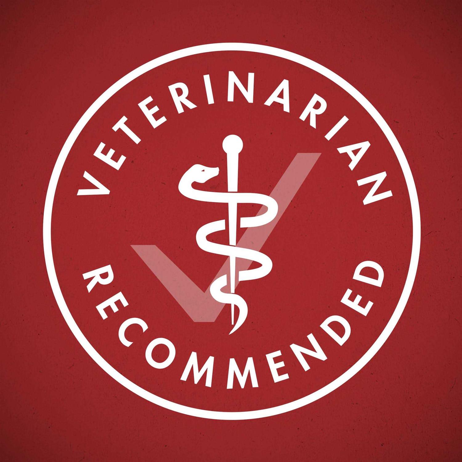 Purina ONE SmartBlend Classic Healthy Puppy Ground Lamb & Long Grain Rice Canned Dog Food - Image 2