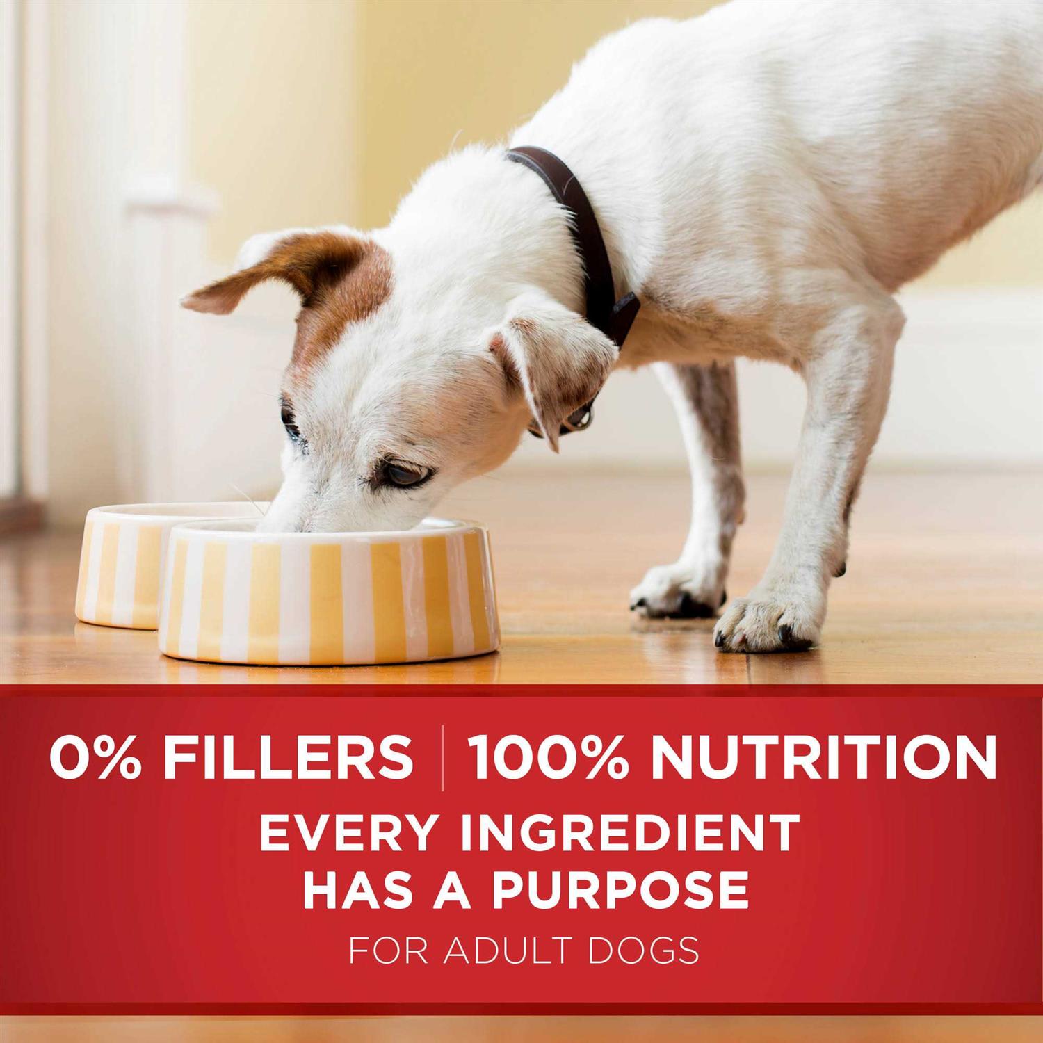 Purina ONE SmartBlend Classic Healthy Puppy Ground Lamb & Long Grain Rice Canned Dog Food - Image 3