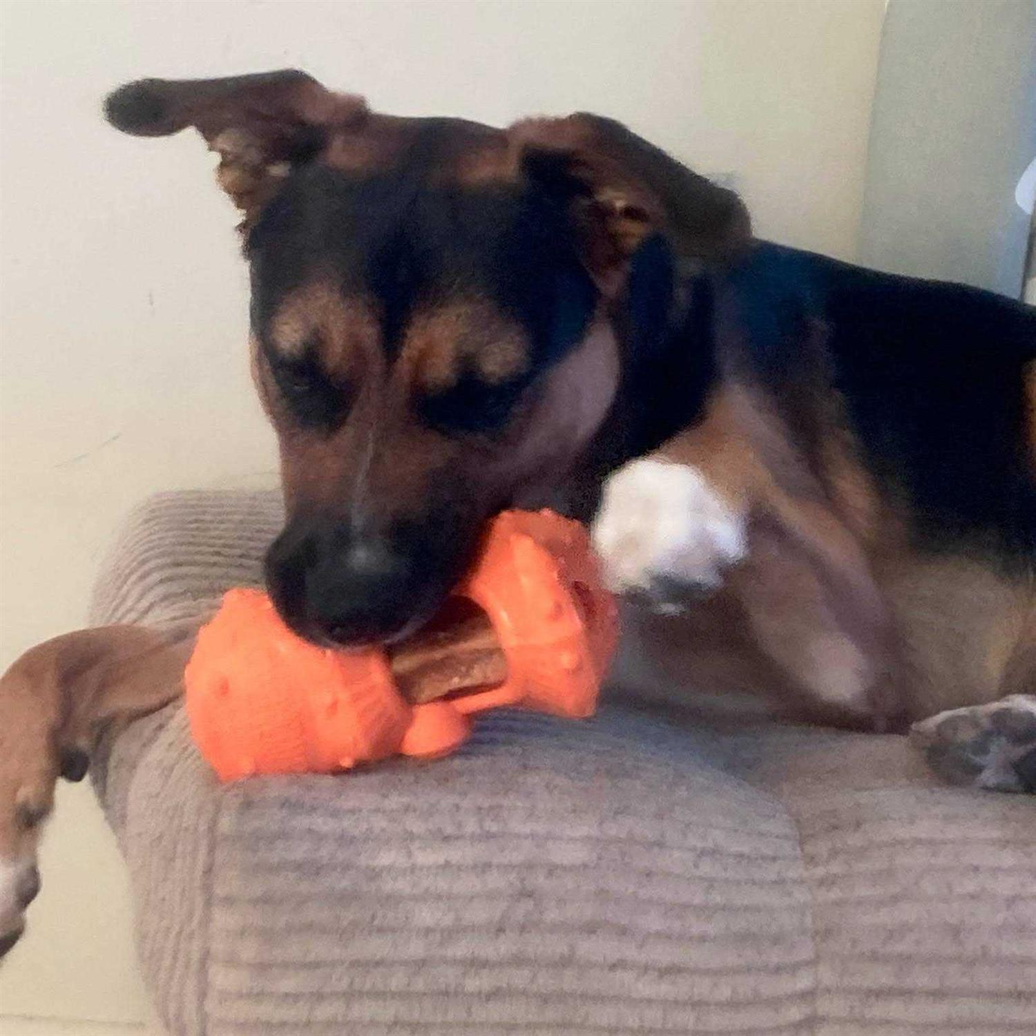 Himalayan Dog Chew Jughead Super Dog Toy - Image 3