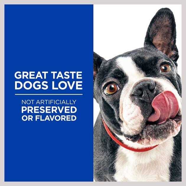 Hill's Natural Baked Light Biscuits with Real Chicken Dog Treats - Image 3