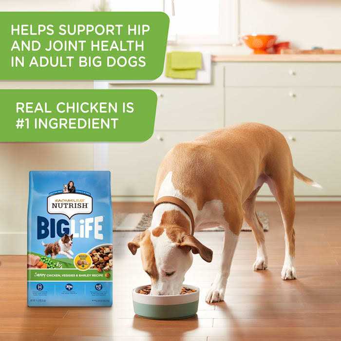 Rachael Ray Nutrish Big Life Dry Dog Food - Image 3