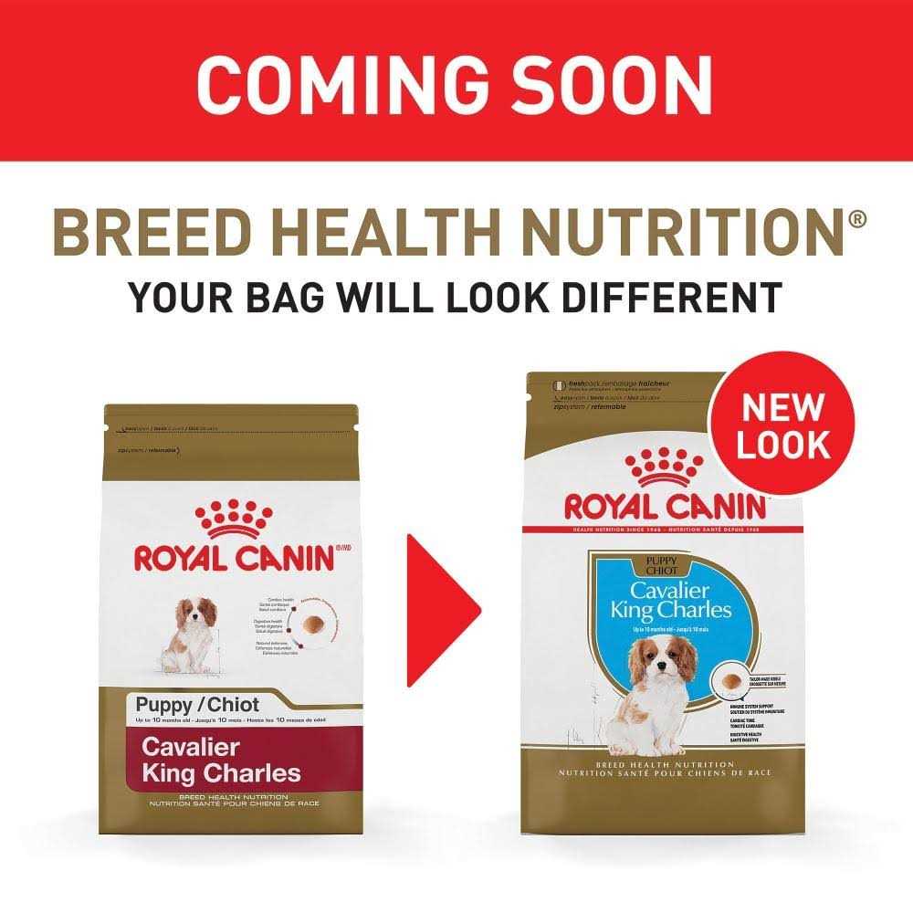 Royal Canin Breed Health Nutrition Cavalier King Charles Puppy Dry Dog Food - Image 4