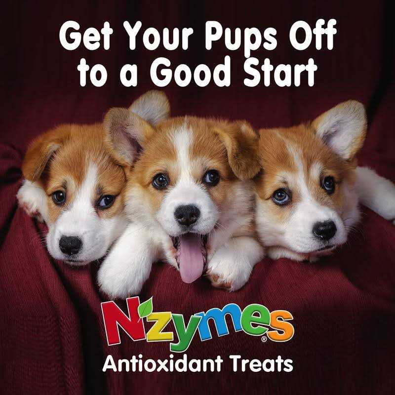 Nzymes Antioxidant Treats for Pets - Image 3