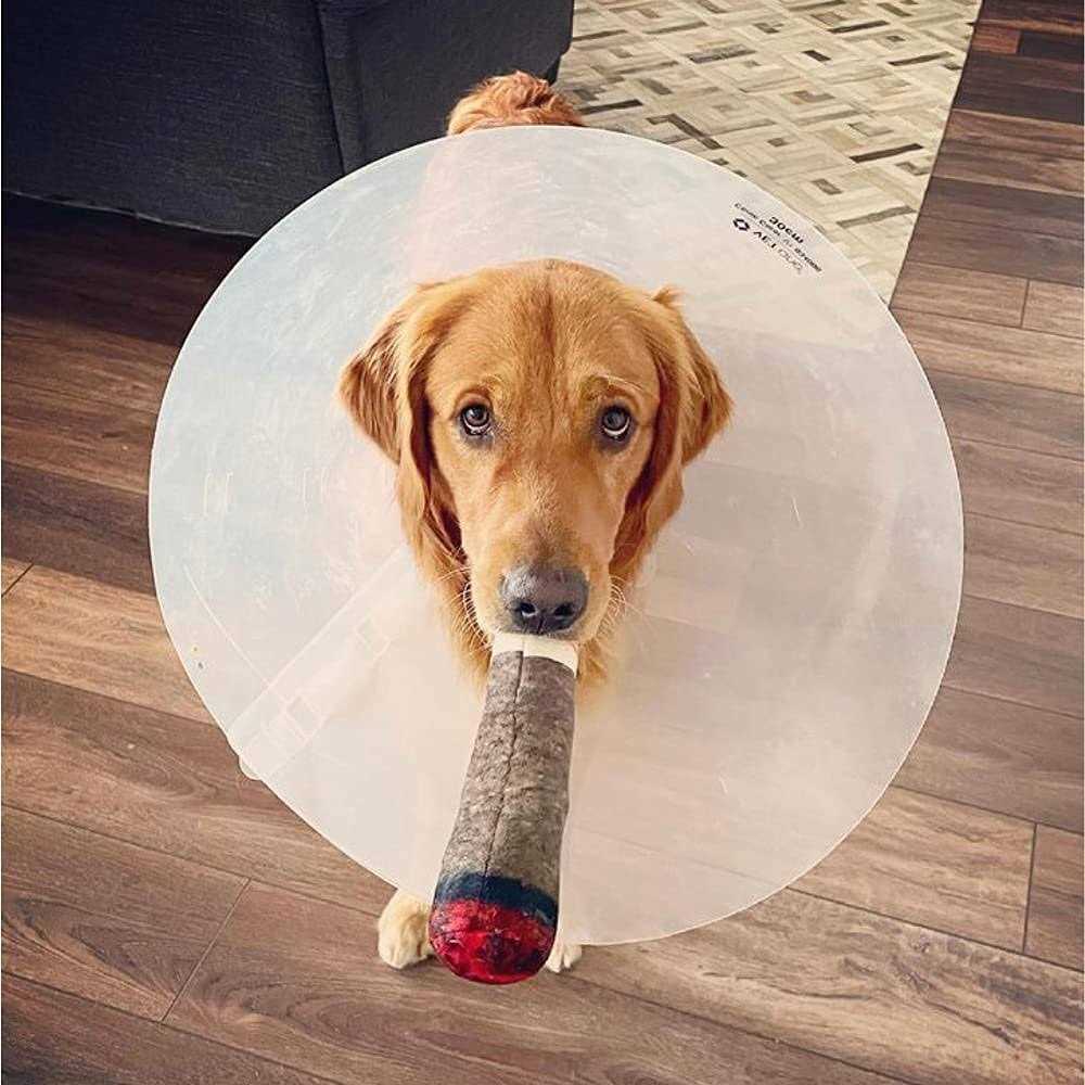 Nestpark Doggy Doobie Funny Dog Toys Plush Squeaky Dog Toys for Medium, Small and Large - Image 3