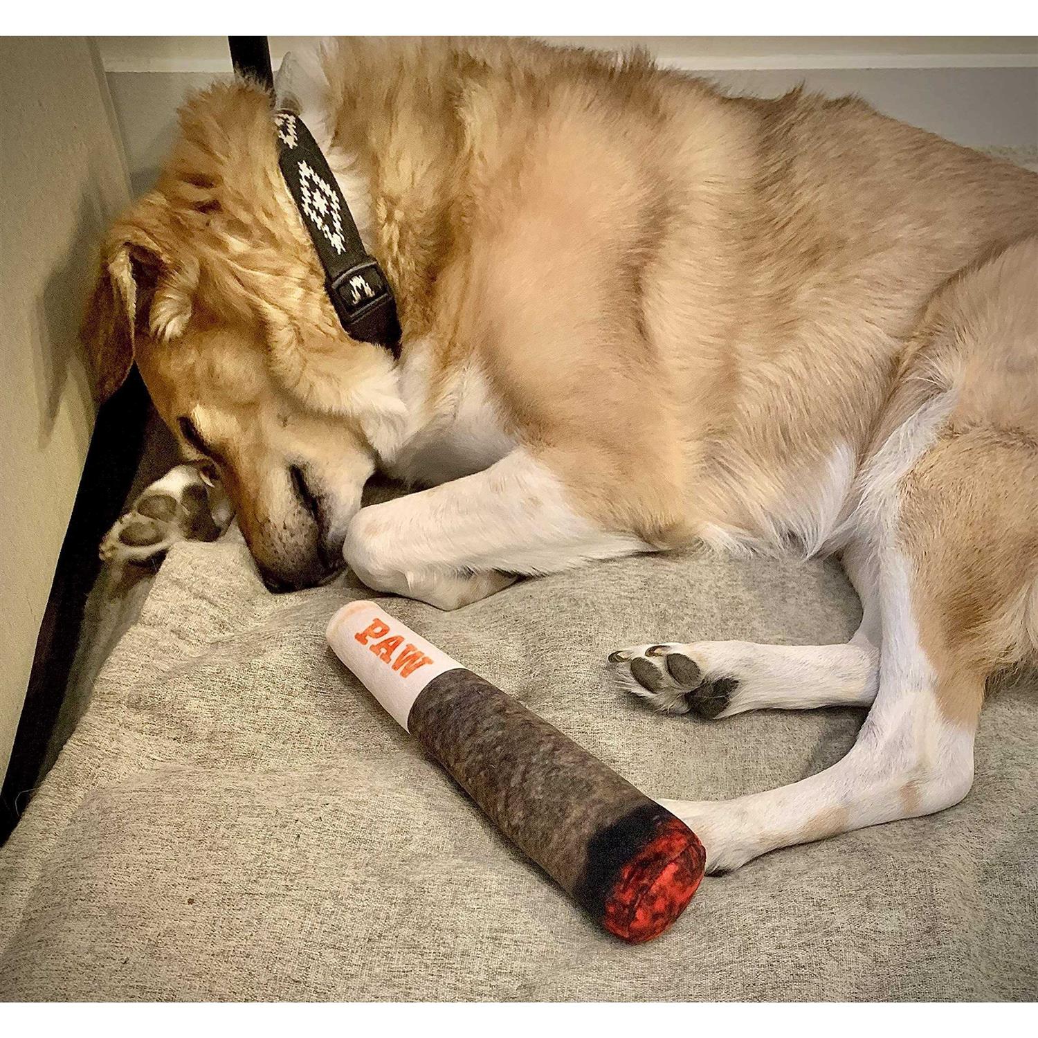 Nestpark Doggy Doobie Funny Dog Toys Plush Squeaky Dog Toys for Medium, Small and Large - Image 5