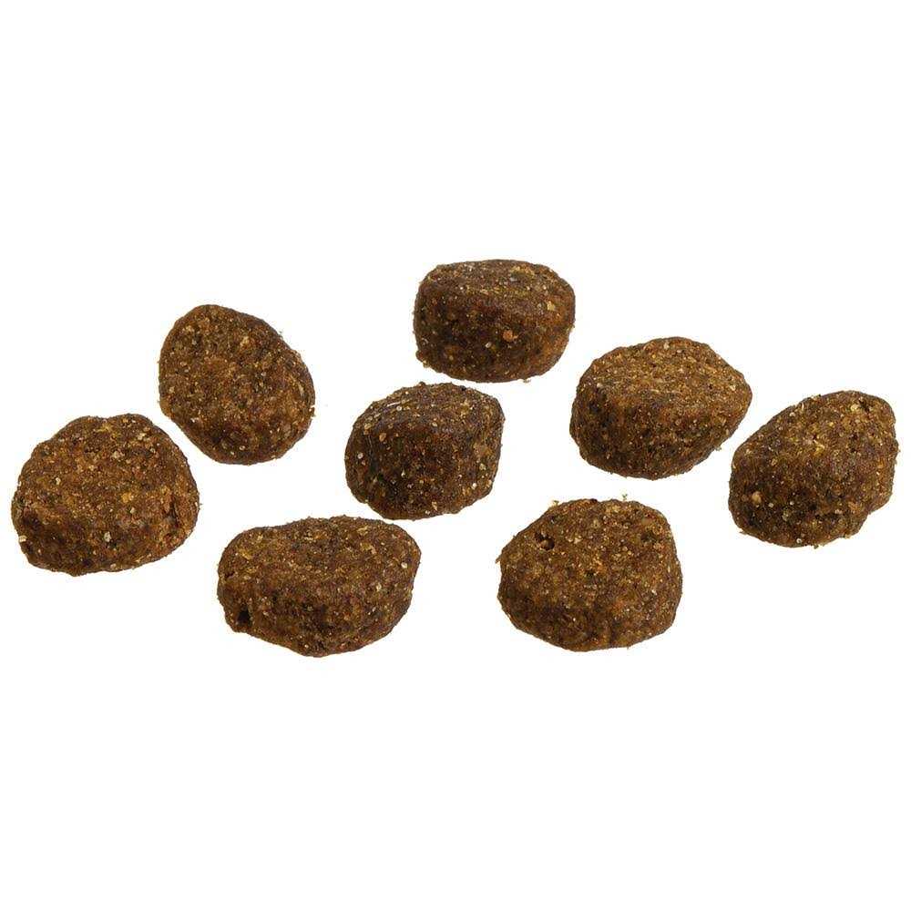Redbarn Dog Food Whole Grain Sky Recipe - Image 4