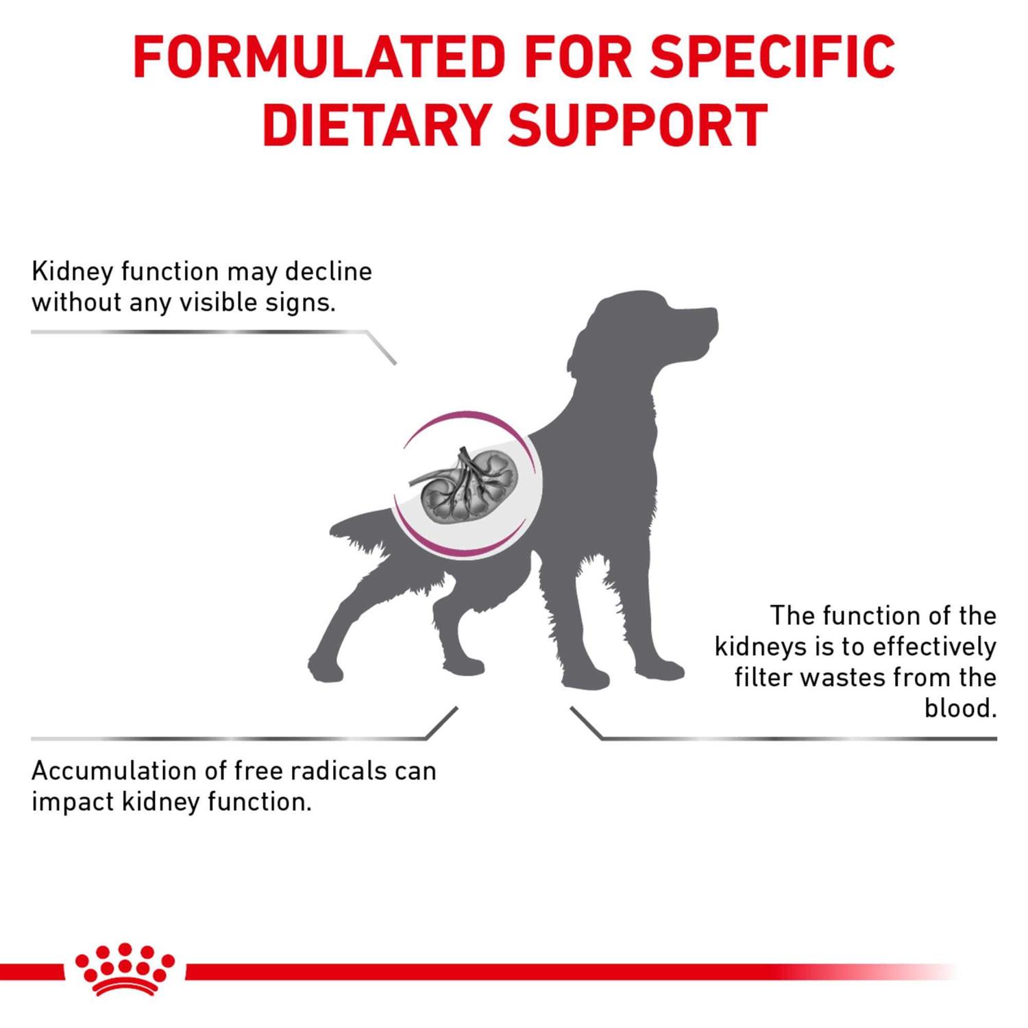 Royal Canin Veterinary Diet Canine Renal Support Early Consult Dry Dog Food - Image 3