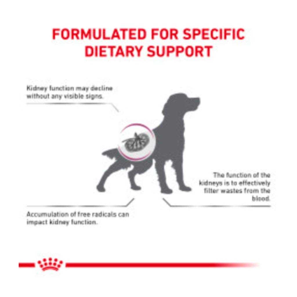 Royal Canin Veterinary Diet Canine Renal Support Early Consult Dry Dog Food - Image 5