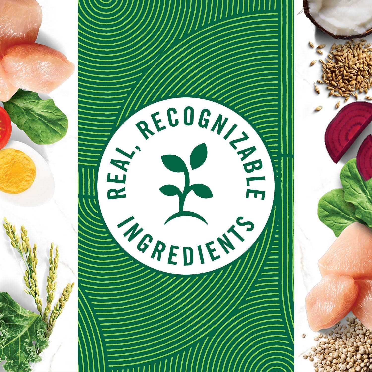 Nutro Natural Choice Small Bites Adult Lamb Rice Dry Dog Food - Image 3