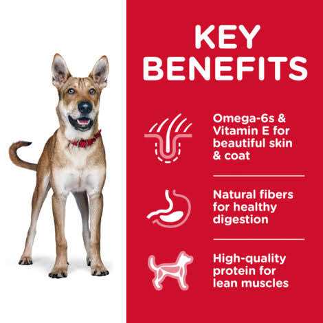 Hill's Science Diet Adult Chicken & Barley Recipe Dry Dog Food - Image 4