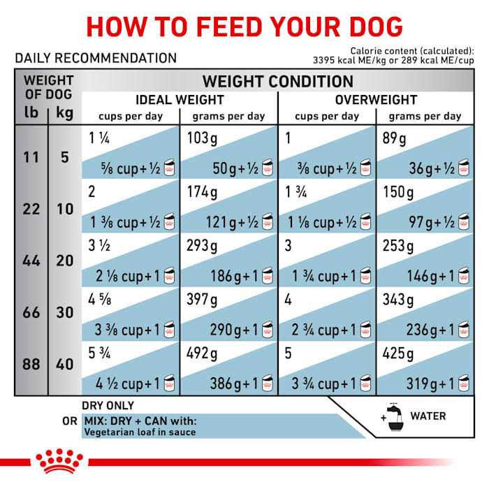 Royal Canin Veterinary Diet Canine Vegetarian Dry Dog Food - Image 3