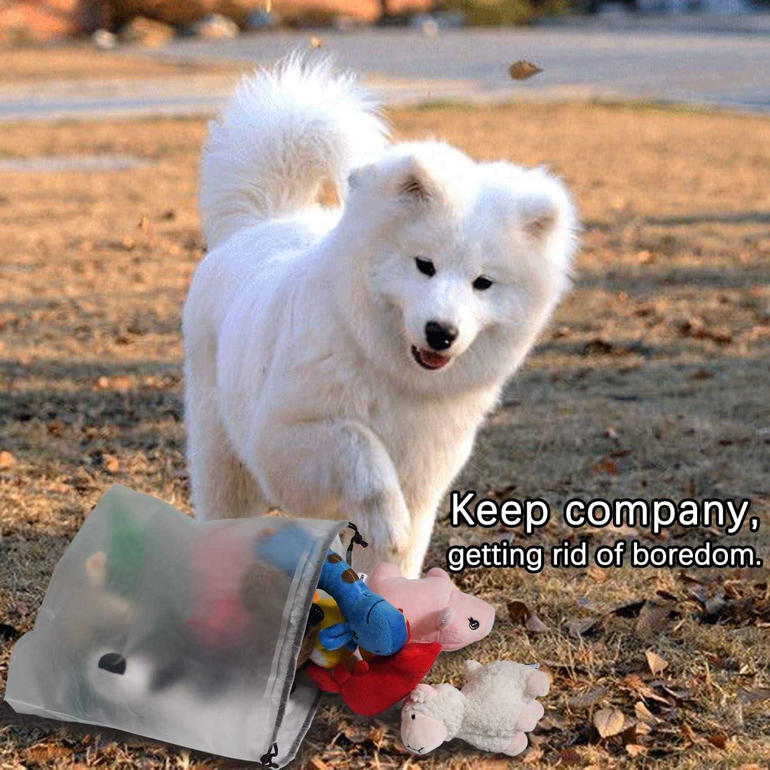 legend sandy Squeaky Plush Dog Toy Pack for Puppy Small Stuffed Puppy Chew Toys 12 Dog Toys Bulk with Squeakers - Image 3