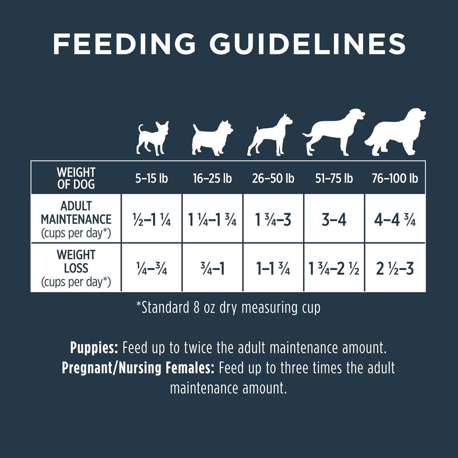 Instinct Raw Boost Whole Grain Real Lamb & Oatmeal Dry Dog Food - Image 3