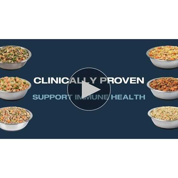 JustFoodForDogs Daily Diets Rice Frozen Dog Food - Image 5