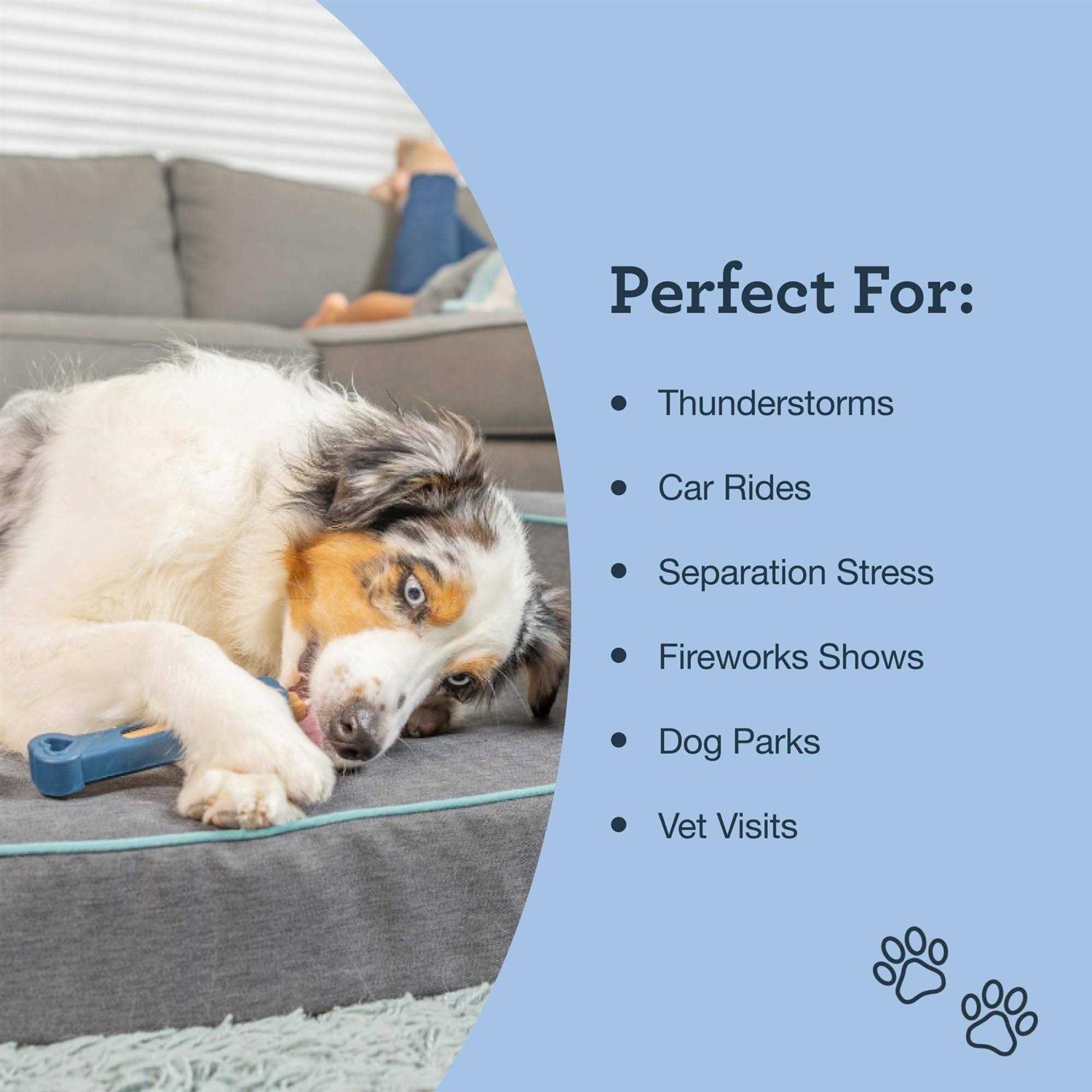 Kradle All Day Calming Bone - Image 3