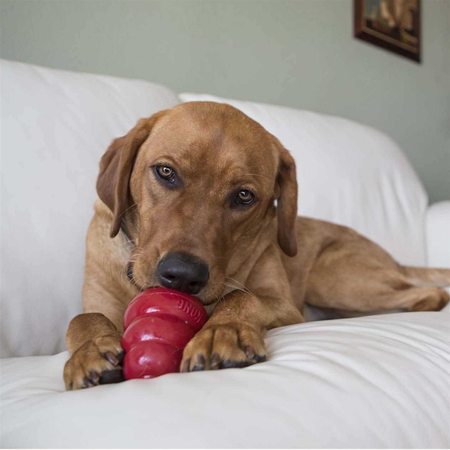 Kong Snacks - Image 4