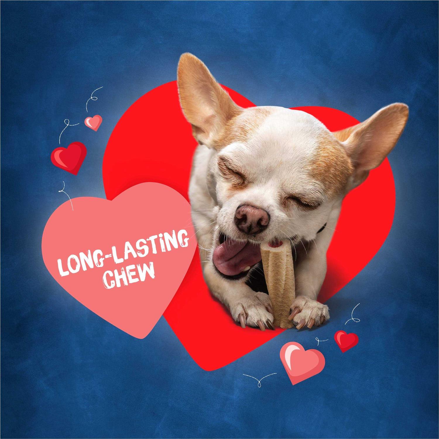 Purina Busy Bones Tiny Dog Treats - Image 3