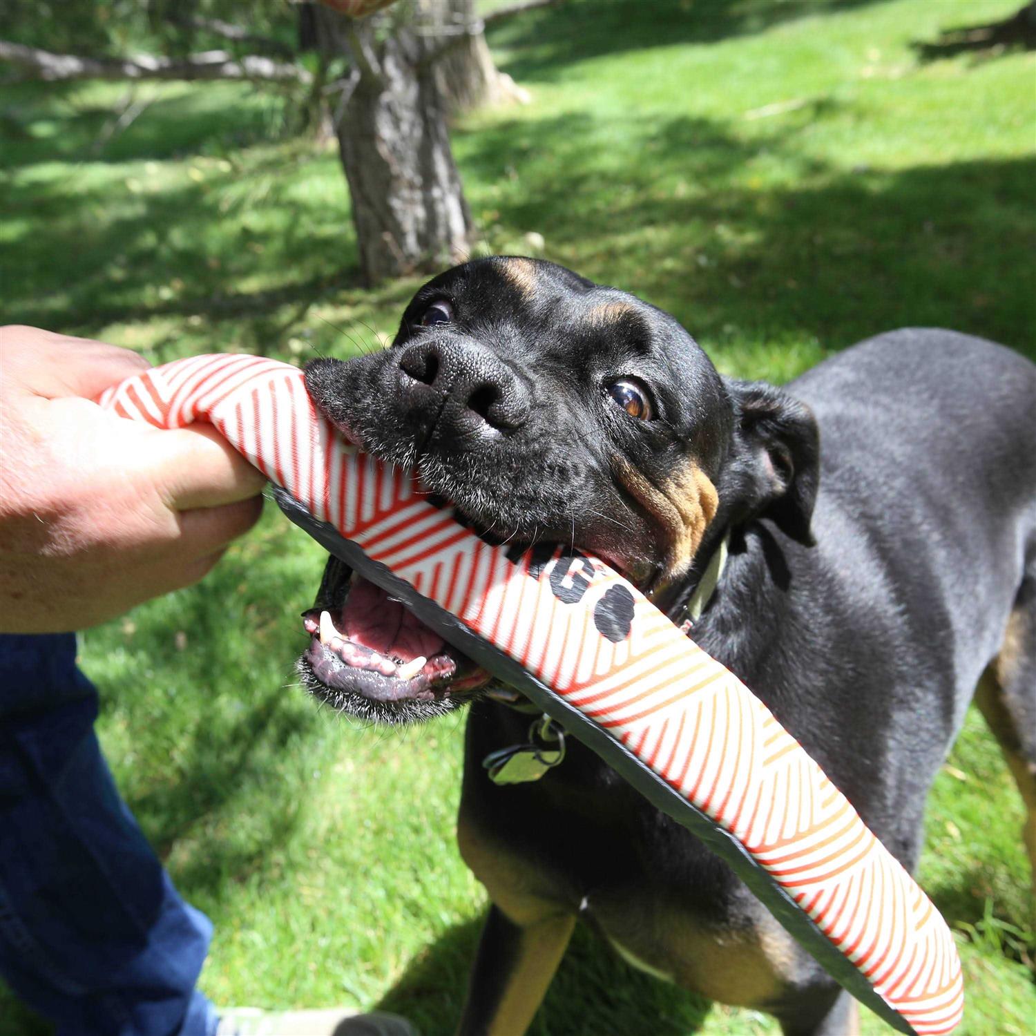 KONG Maxx Dog Toy Stick - Image 3