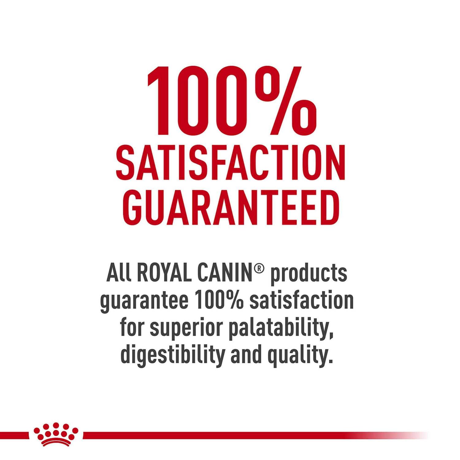 Royal Canin Digestive Care Small Breed Dry Dog Food - Image 5