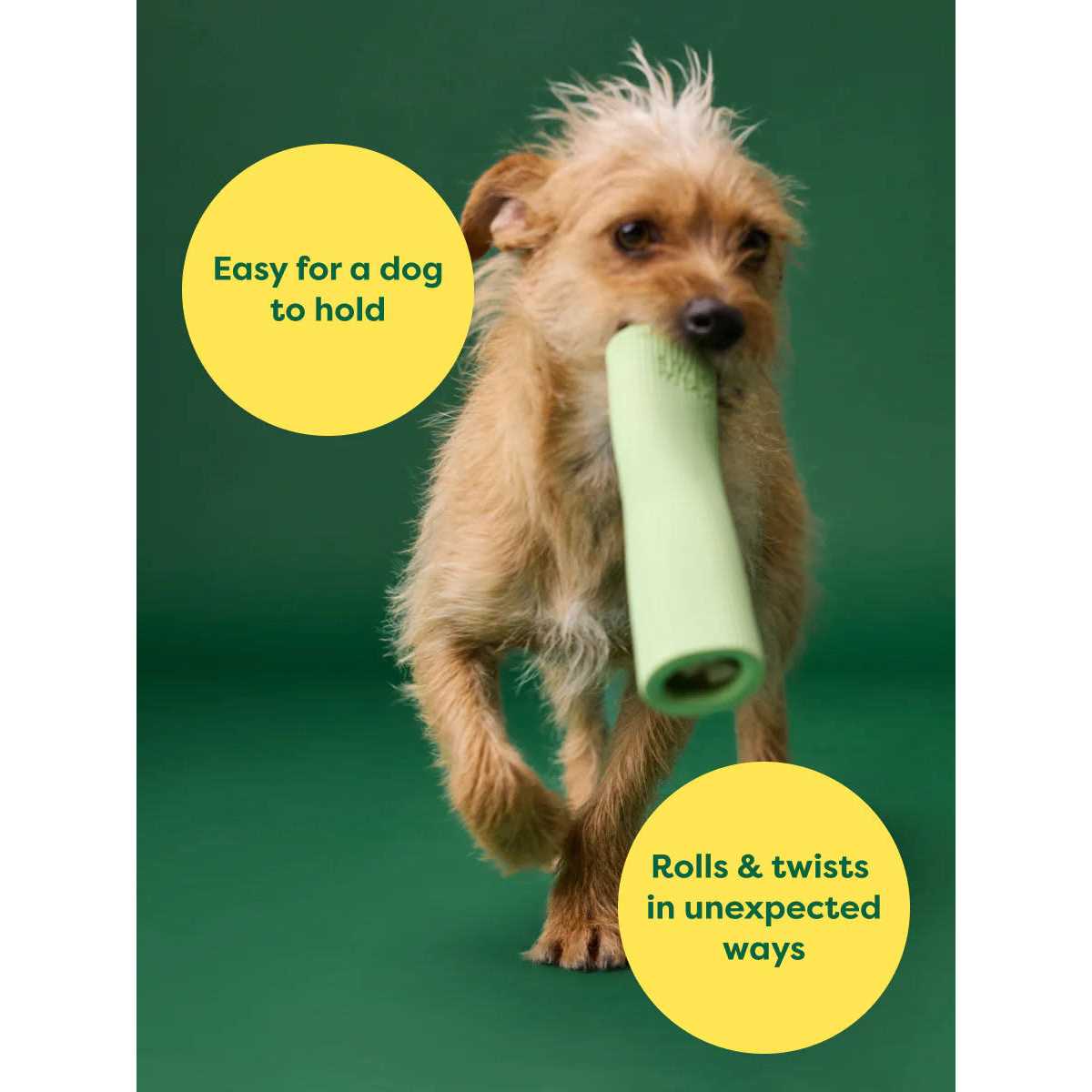 Earth Rated Rubber Chew Dog Toy - Image 3