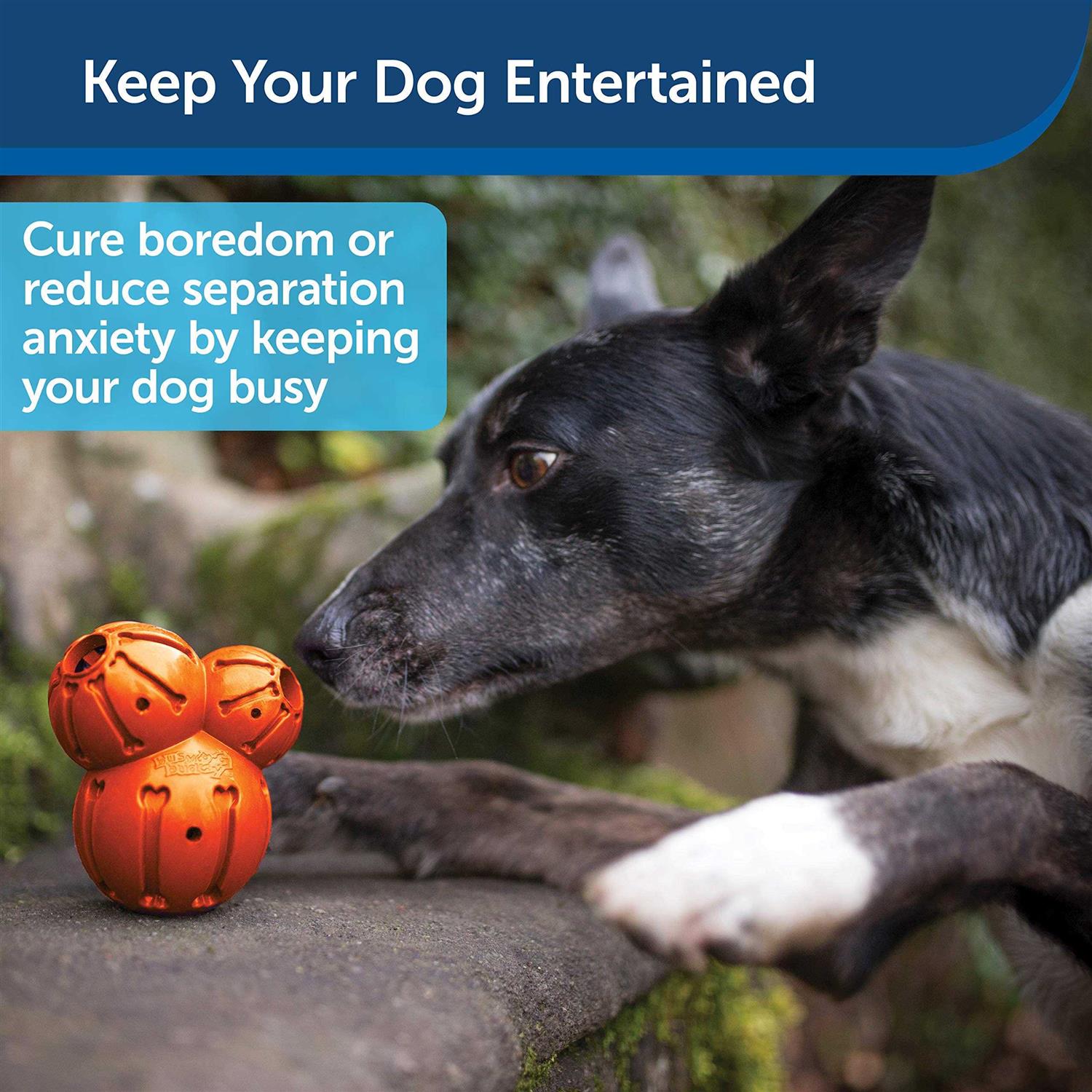 PetSafe Sportsmen Barnacle - Image 4