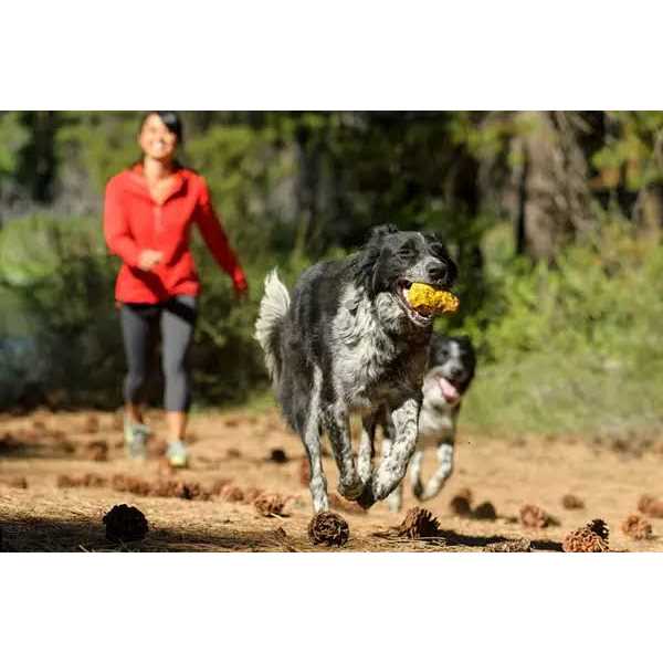 Gnawt-a-Rock Toy Ruffwear - Image 5