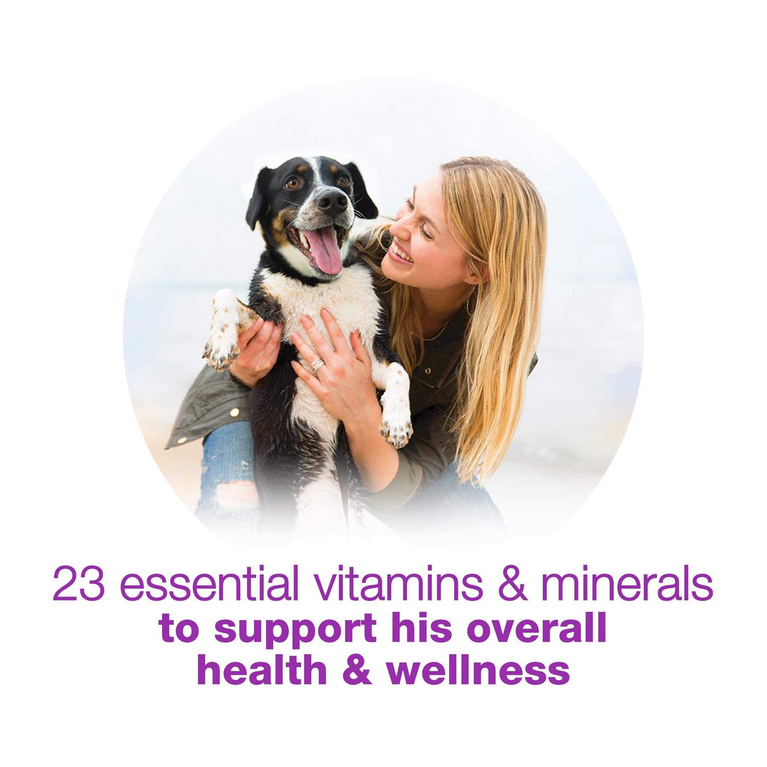 Purina Beneful Chopped Blends With Chicken Carrots Peas & Wild Rice Wet Dog Food - Image 2