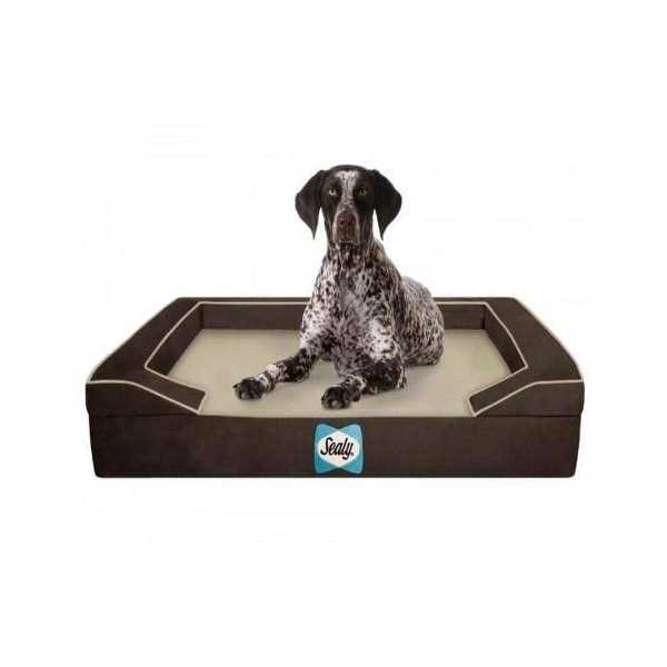 Sealy Lux Orthopedic Memory Foam Dog Bed - Image 5
