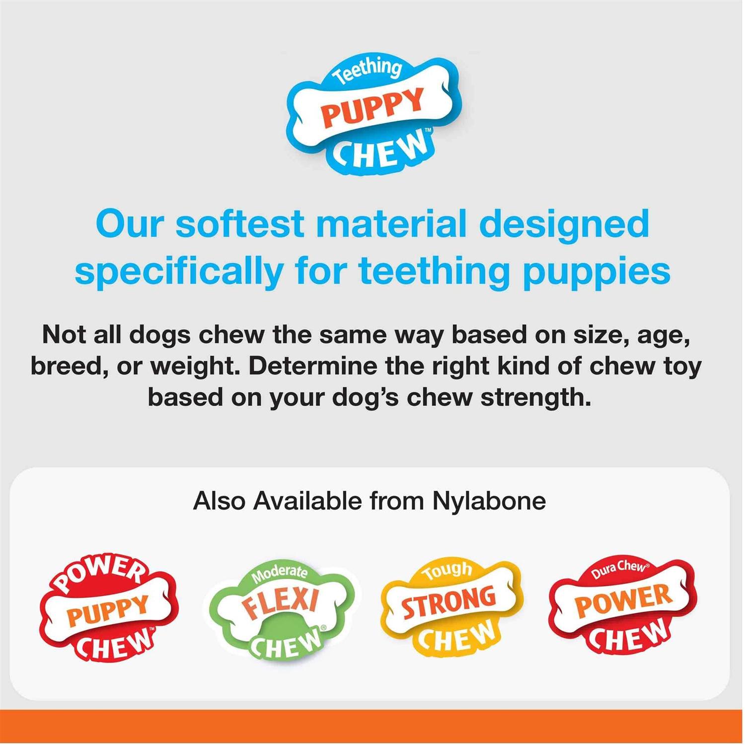 Nylabone Puppy Chew Teething Keys - Image 4