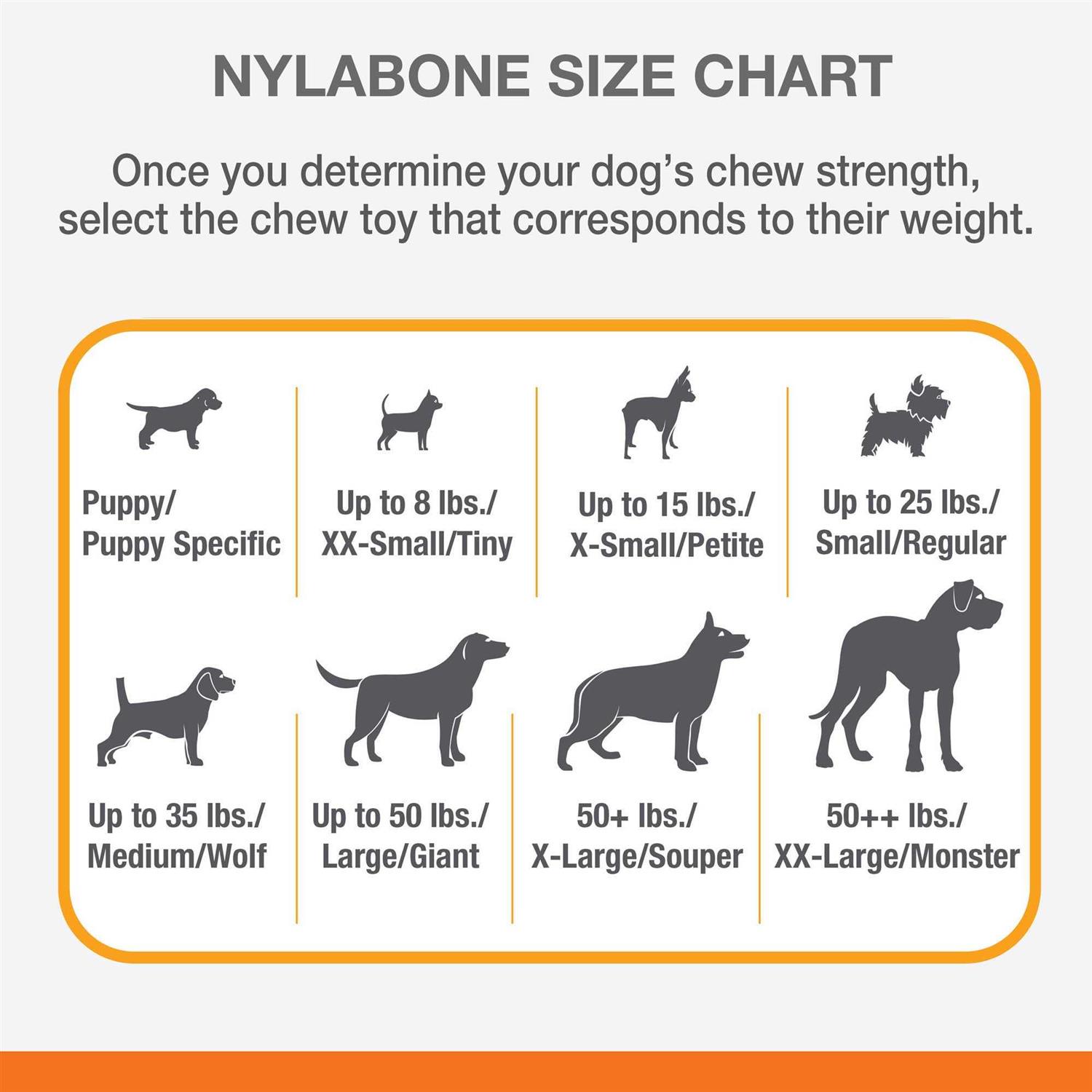 Nylabone Puppy Chew Teething Keys - Image 5