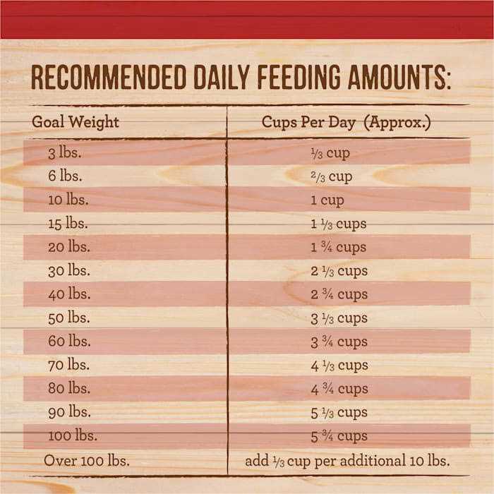 Merrick Healthy Grains Freeze Dried Raw Coated Kibble Dry Dog Food Real and Brown Rice Recipe - Image 3