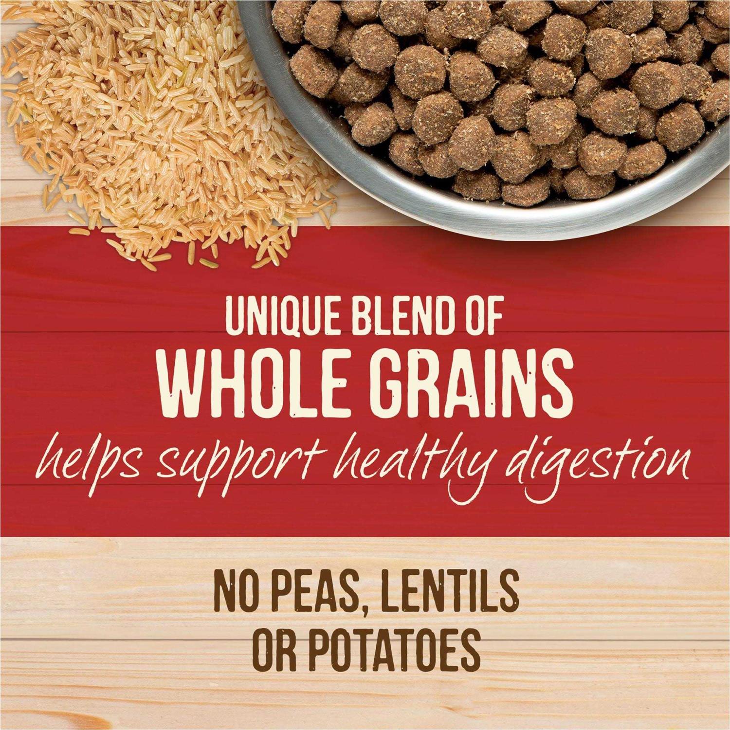 Merrick Healthy Grains Freeze Dried Raw Coated Kibble Dry Dog Food Real and Brown Rice Recipe - Image 4