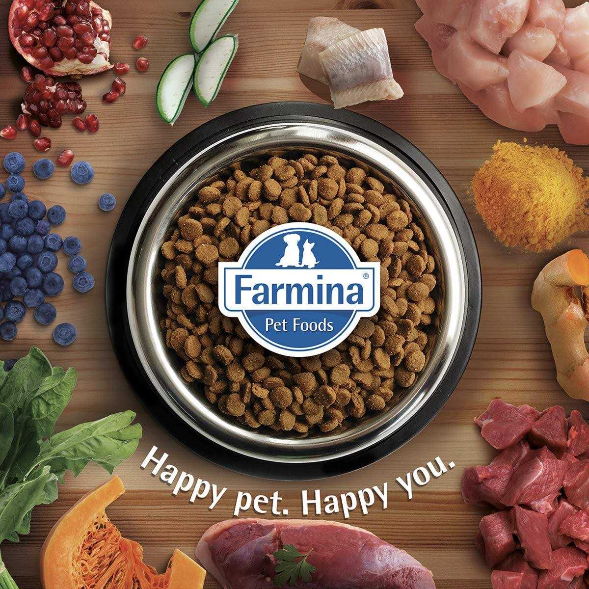 Farmina N&D Quinoa Dog Food - Image 4