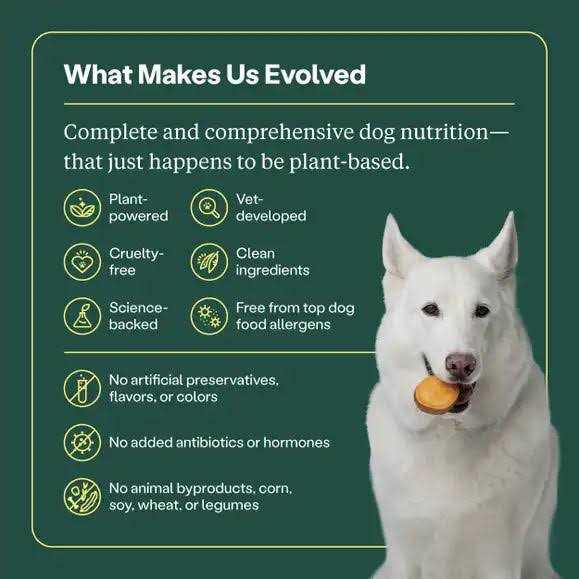 Wild Earth Classic Roast Flavor Maintenance Formula Dry Dog Food - Image 3