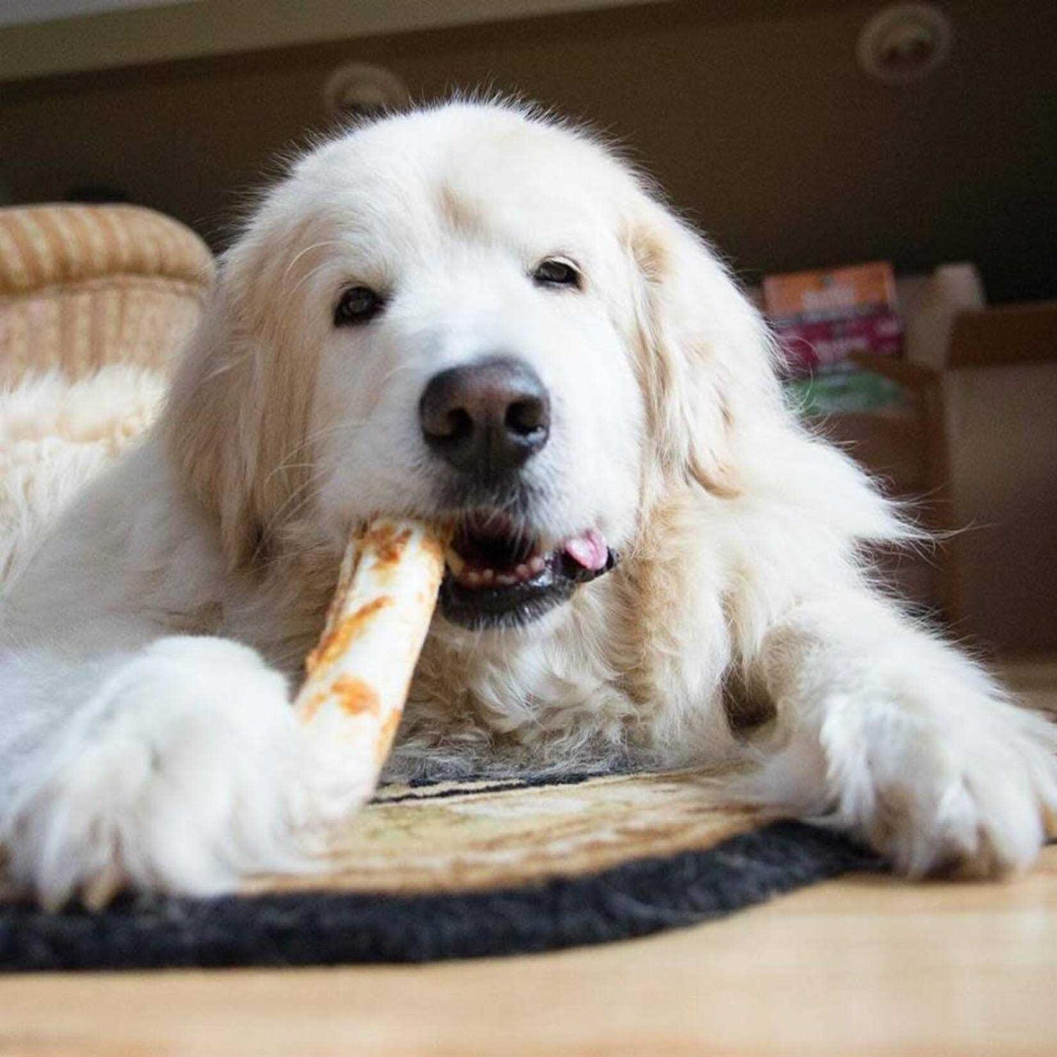 Earth Animal No Hide Peanut Butter - Image 3