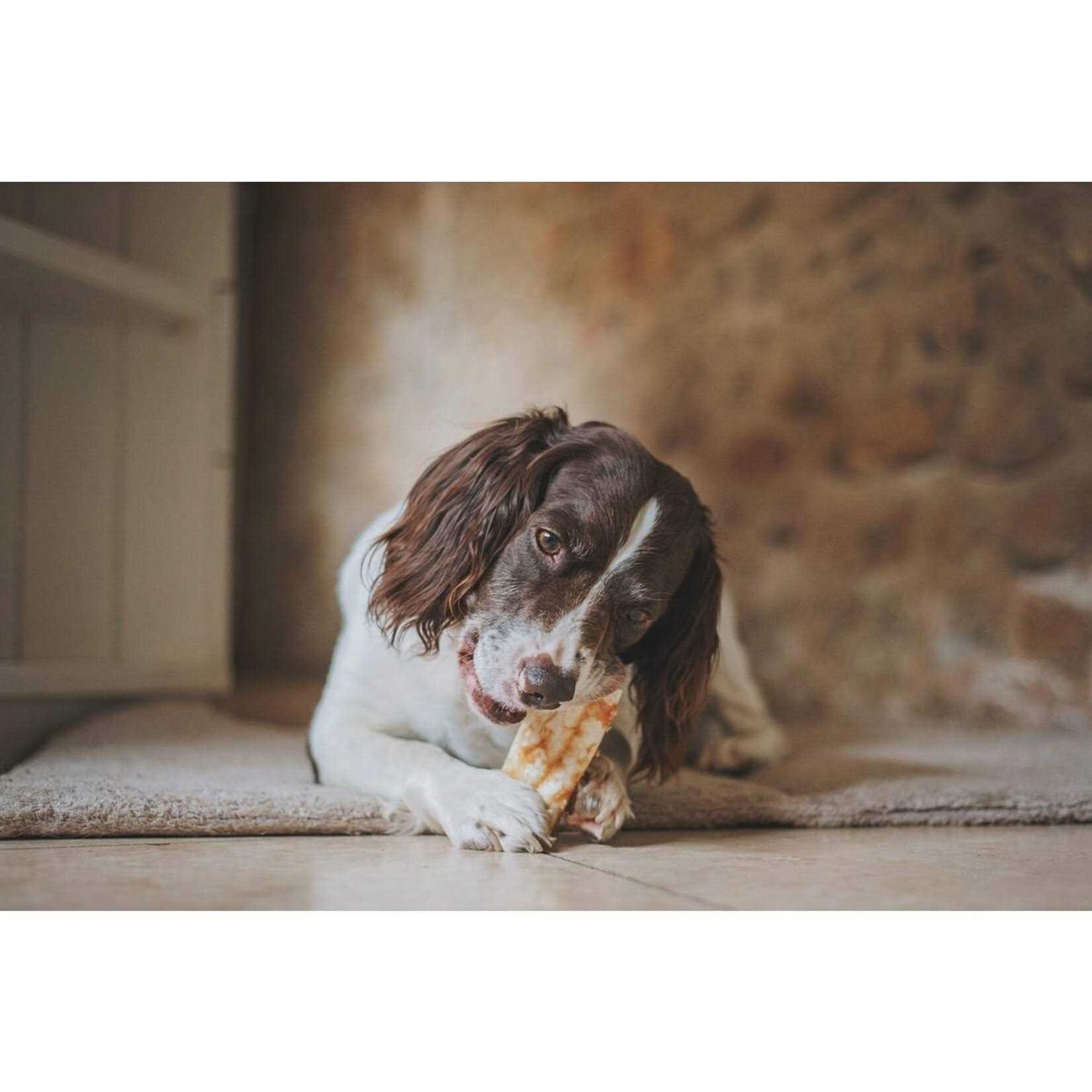 Earth Animal No Hide Peanut Butter - Image 4