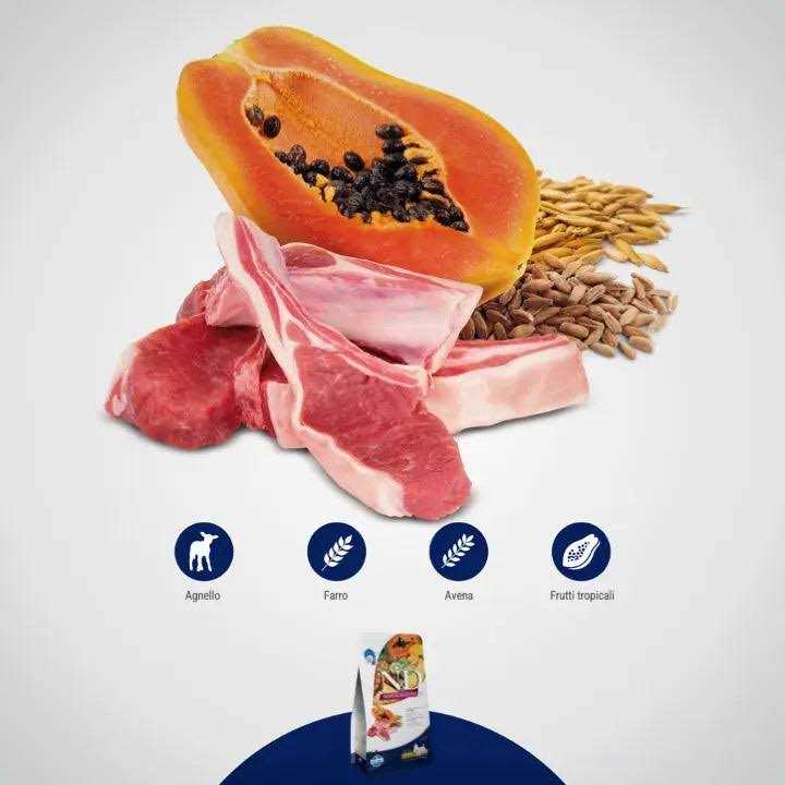 Farmina Lamb Spelt Oats and Tropical Fruits Adult Medium Maxi 4.4 lbs - Image 3