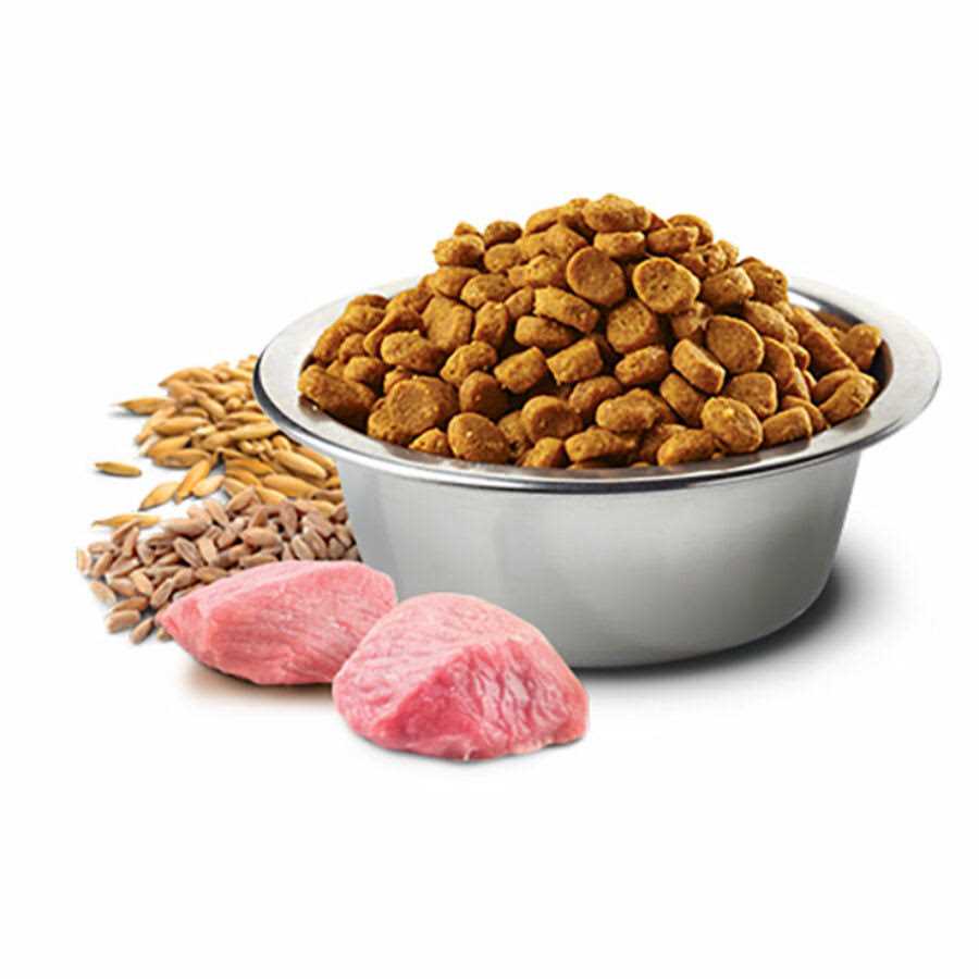 Farmina Lamb Spelt Oats and Tropical Fruits Adult Medium Maxi 4.4 lbs - Image 5