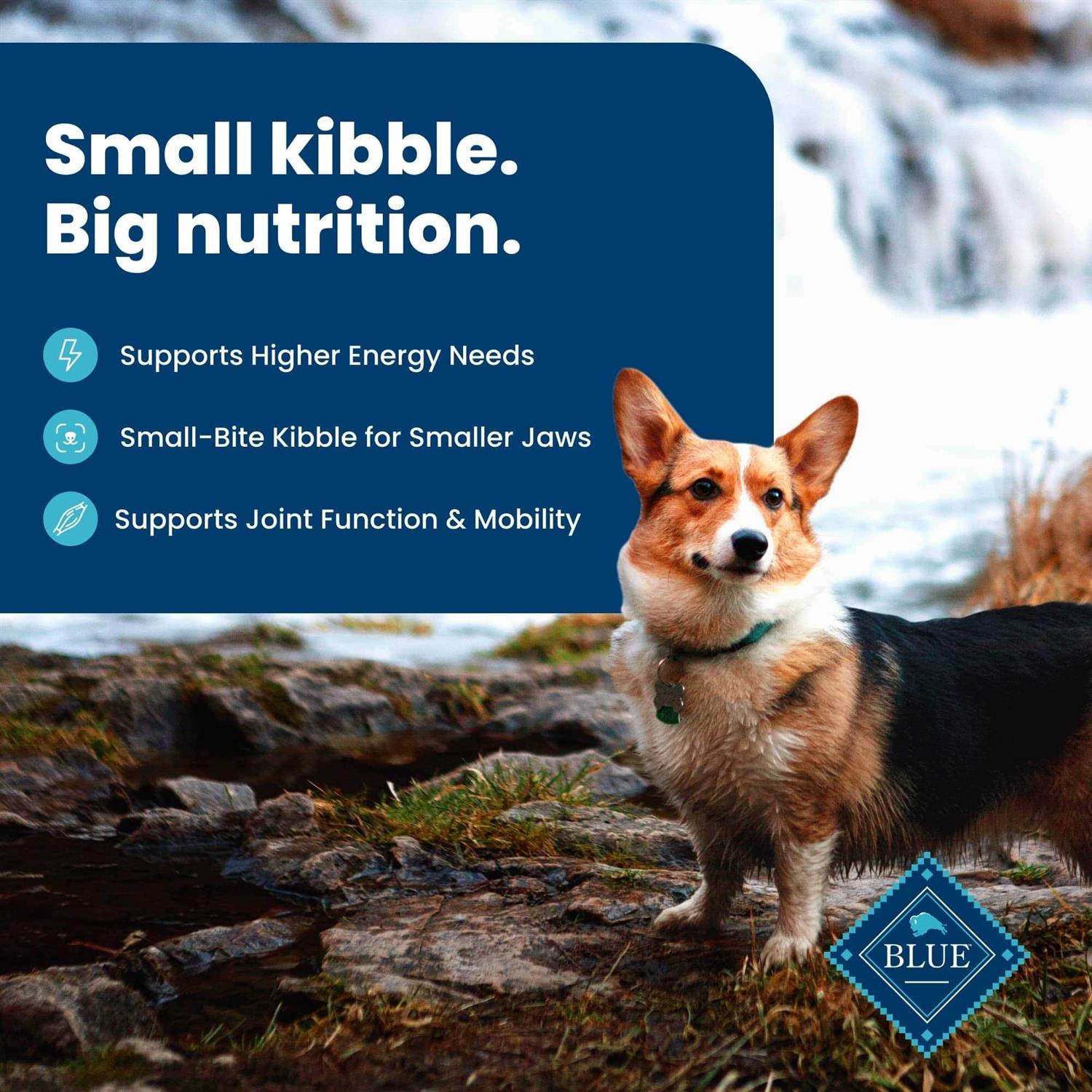 Blue Buffalo Life Protection Formula Small Breed Adult Lamb & Brown Rice Recipe Dry Dog Food - Image 5