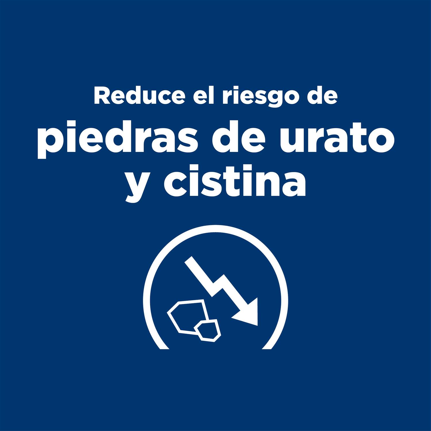 Hill's Prescription Diet u/d Urinary Care Dry Dog Food - Image 5